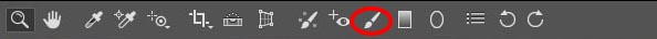 adjustment brush in Adobe Camera Raw