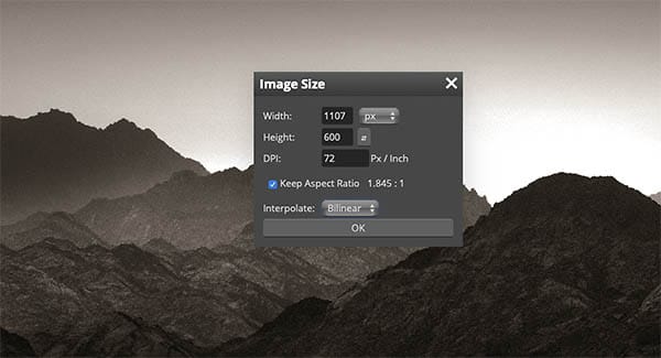 change image size